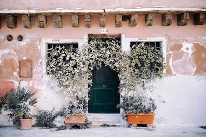 this is a building with plants outside in front of it