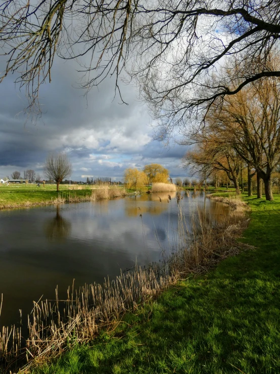 a pond near the park under a cloudy sky