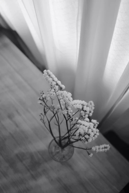 a vase filled with white flowers on a table