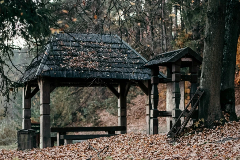 a gazebo is in the middle of a bunch of leaves