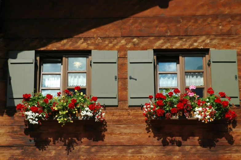 a window with three windows, and two flower boxes