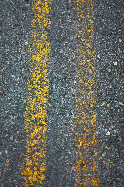 yellow and black stripes on pavement of roadway