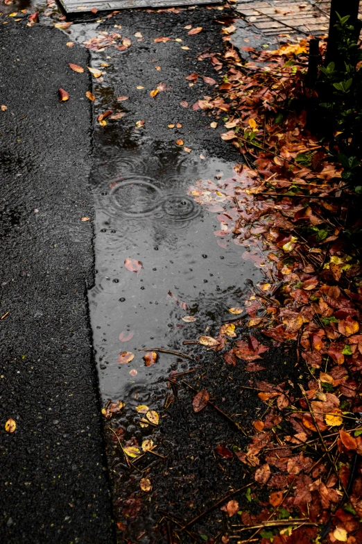 a dle of water on a paved area near a parking meter