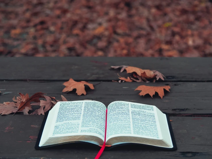 an open book that is laying down on some kind of table