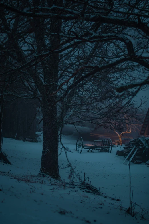 snow covered ground with bench and trees in background