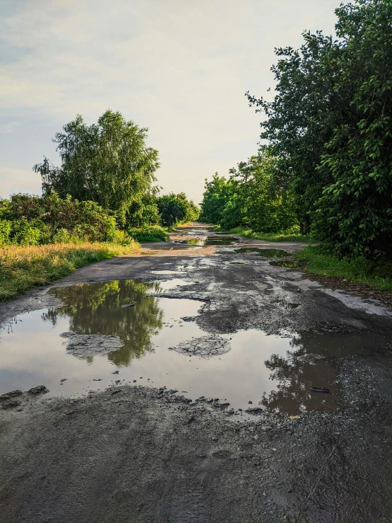 a wet road is seen with trees around