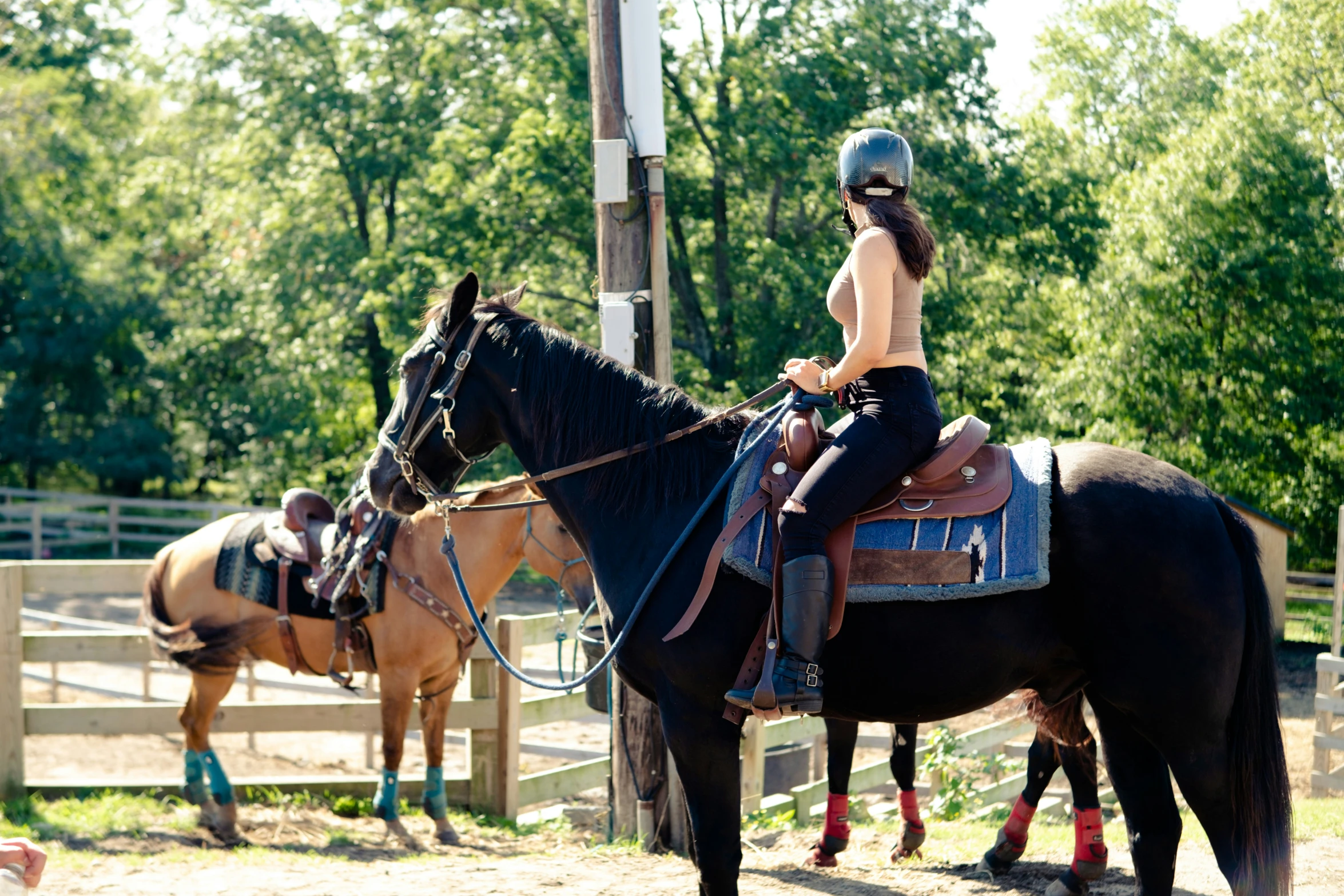 a woman riding on the back of a horse next to another horse