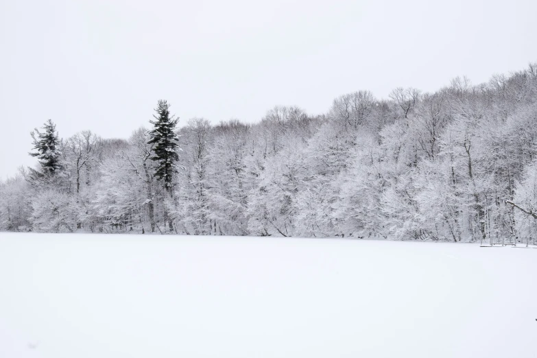 snow covered trees are in the foreground near the snow covered ground
