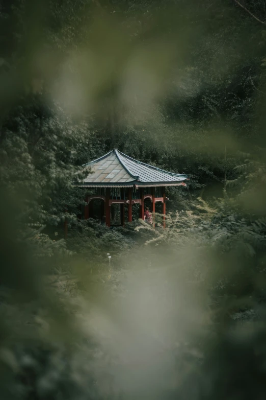 a picture taken through the trees of a small chinese pavilion