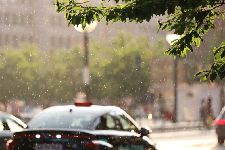 a car driving down a street under a tree