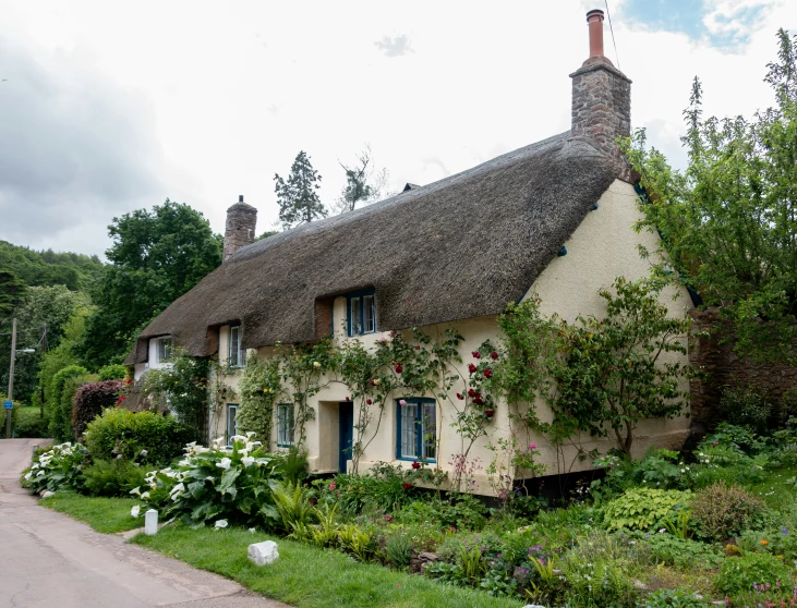 a pretty house that has been decorated with plants and flowers