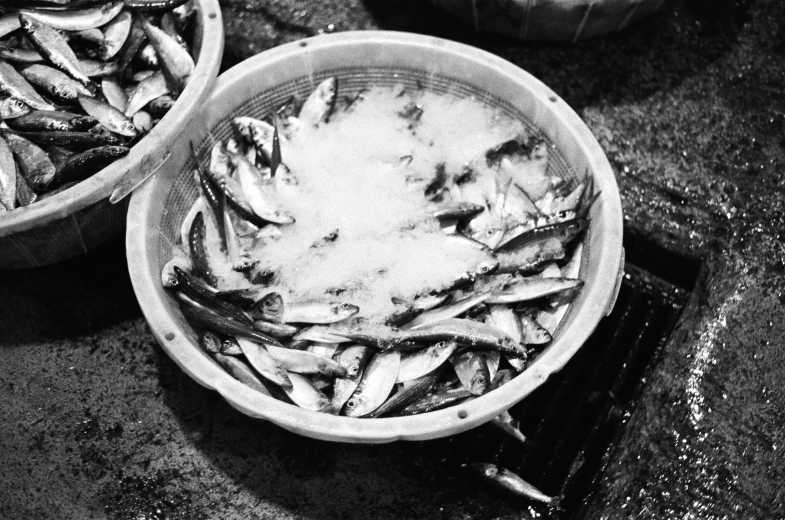some white and black fish in bowls on a counter