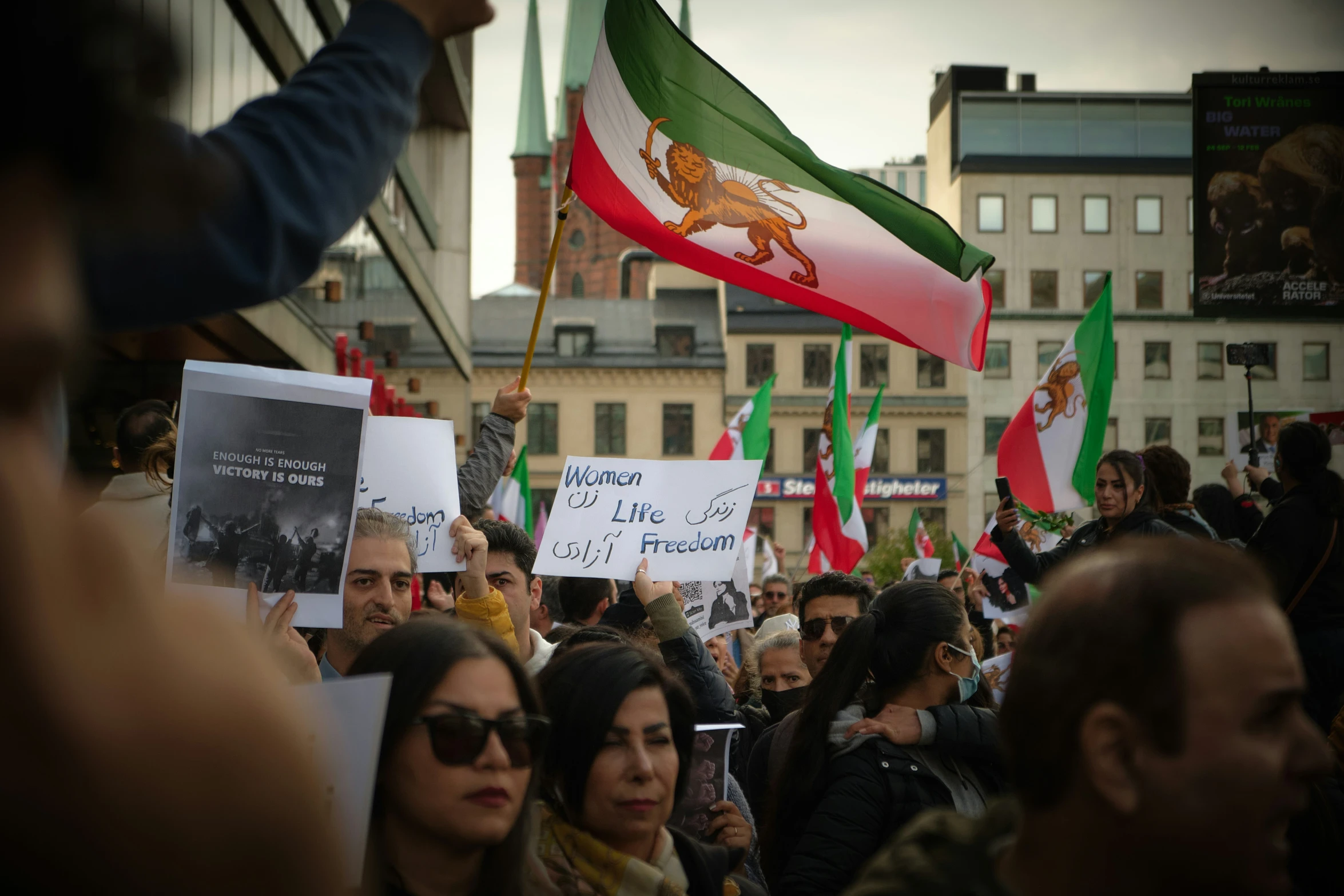 several people holding up signs and flags