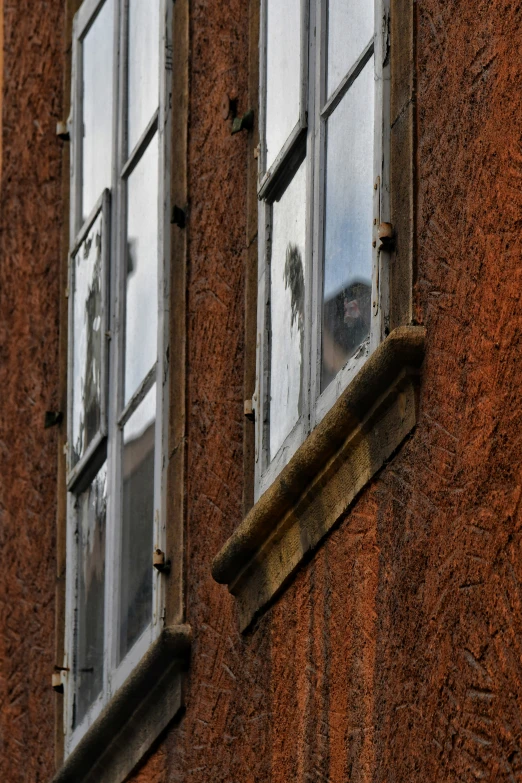 a cat is in the window of an old building