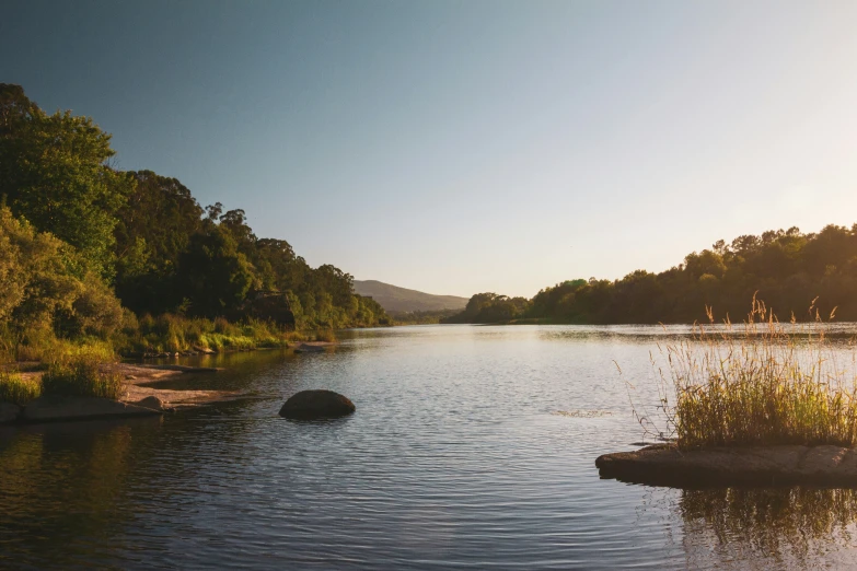 a body of water surrounded by lots of trees