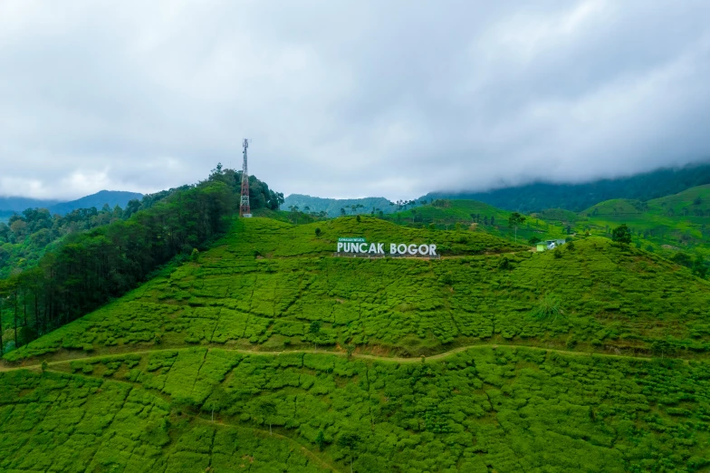 a view of the top of a green field with trees