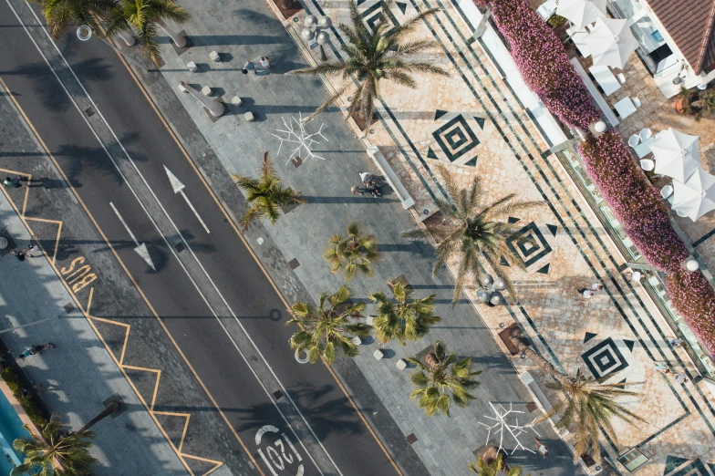 an overhead view shows palm trees and white painted buildings