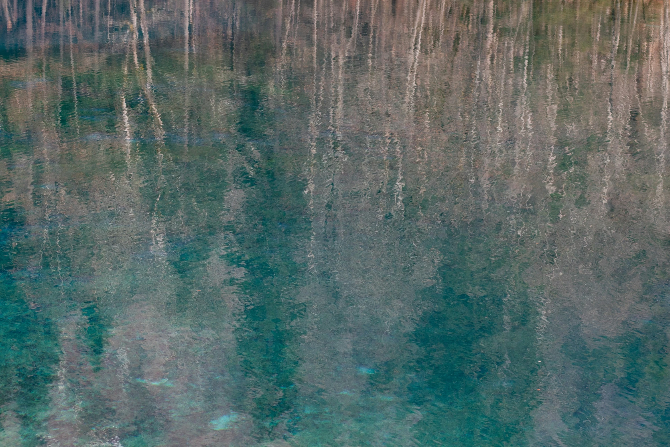 a view of the water, with trees reflecting on it