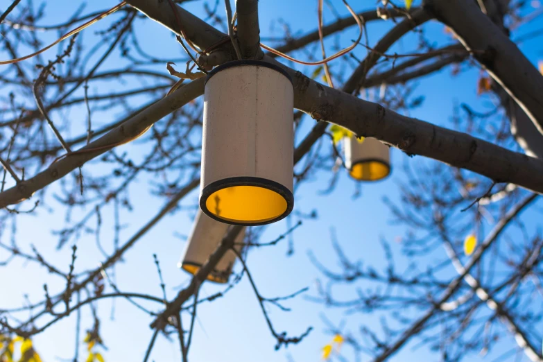 a group of yellow light hanging from a tree