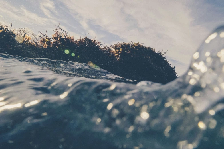 a wave rolls across the water and a group of trees