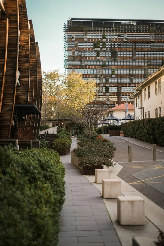 a sidewalk between two buildings next to the walkway