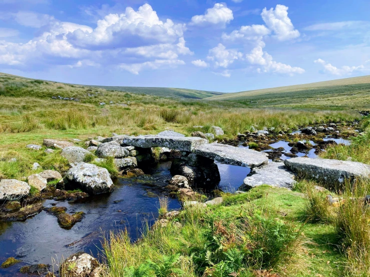 an artificial rock well with green vegetation on the side