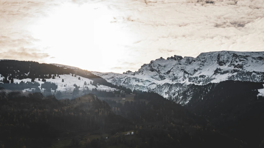 some mountains covered in snow and trees