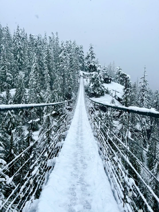 a walkway in the middle of the snowy woods