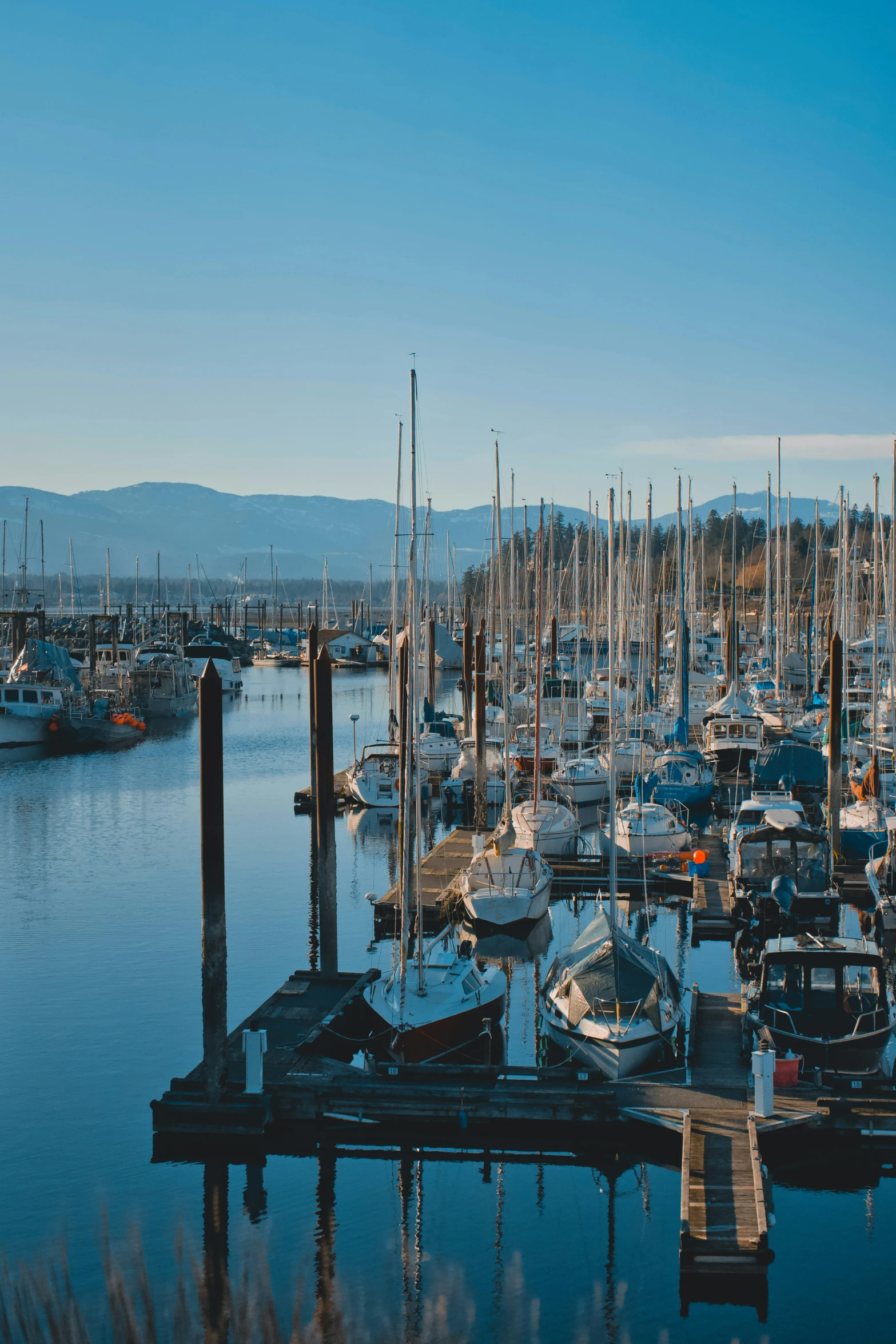 a marina filled with many docked boats under a blue sky