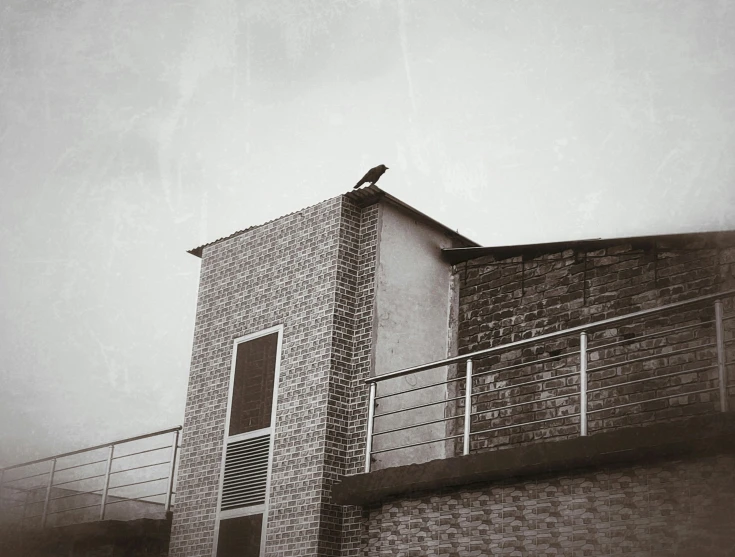 bird perched on top of the roof of the building