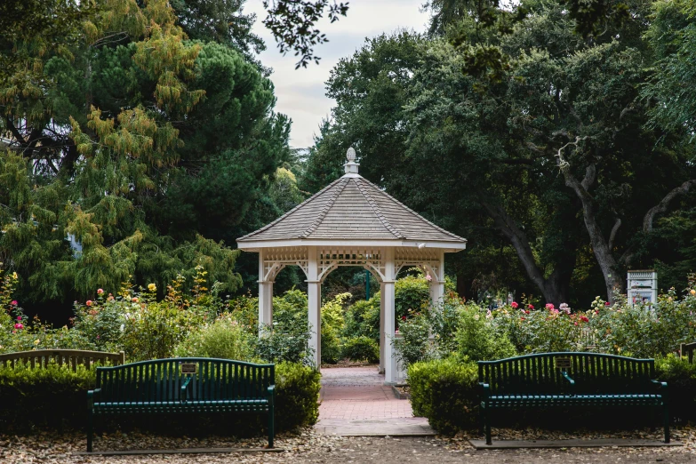 a gazebo surrounded by many trees and plants