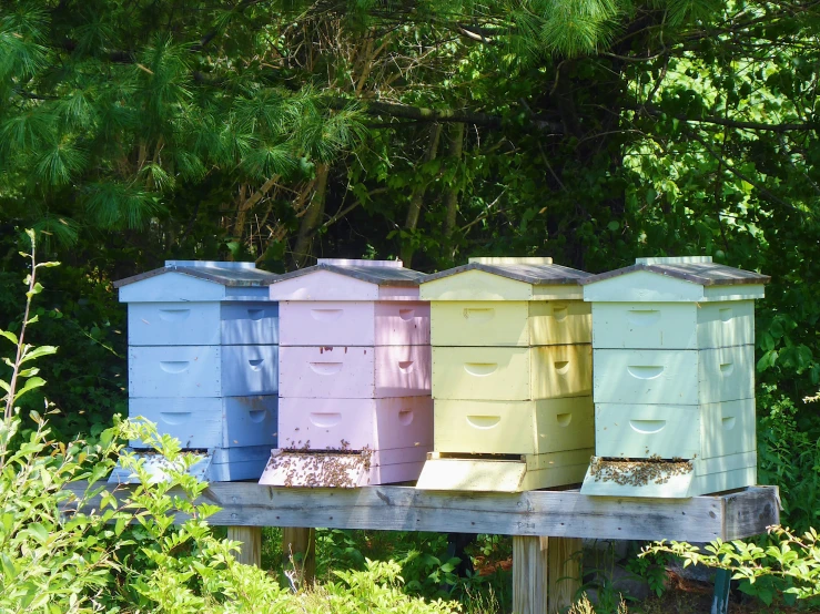 beehives in the middle of a line in a field