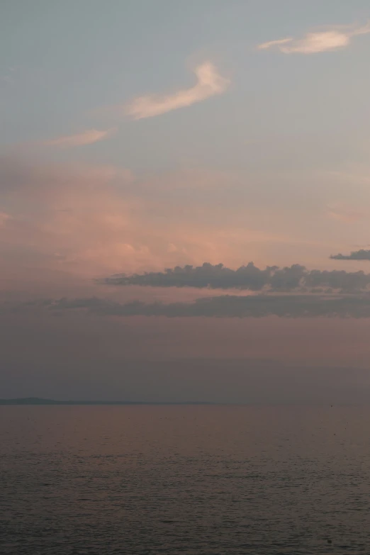 some birds sitting on the beach at sunset