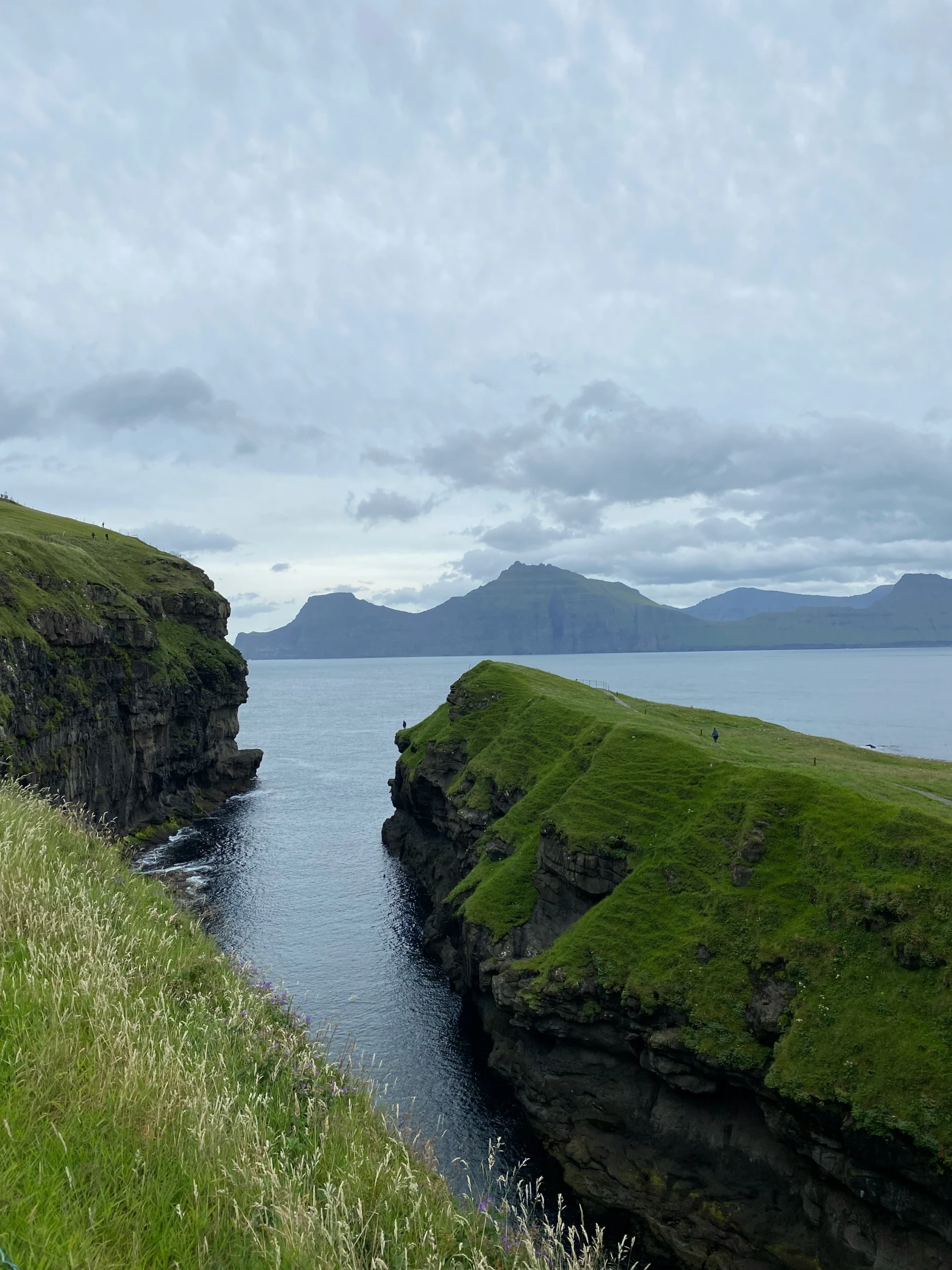 two rocky coastlines are bordered by green grass and blue water