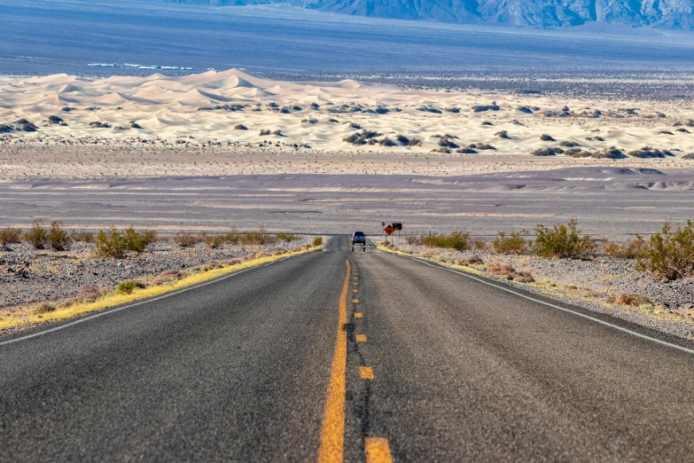 a dirt road with a horse on one side