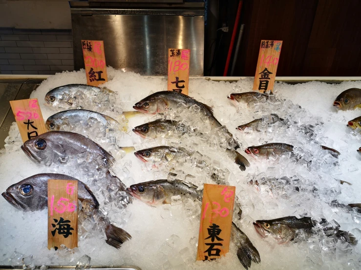 several fish on ice in asian characters above them