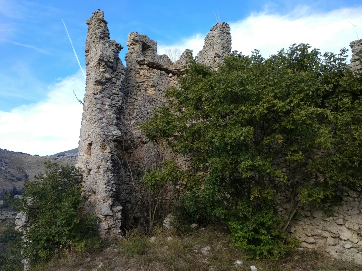 a stone wall with trees on the other side