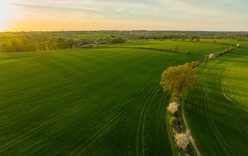 this is a po of a field with some trees