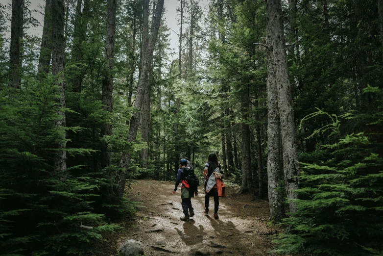 two people walking through the woods in their backpacks