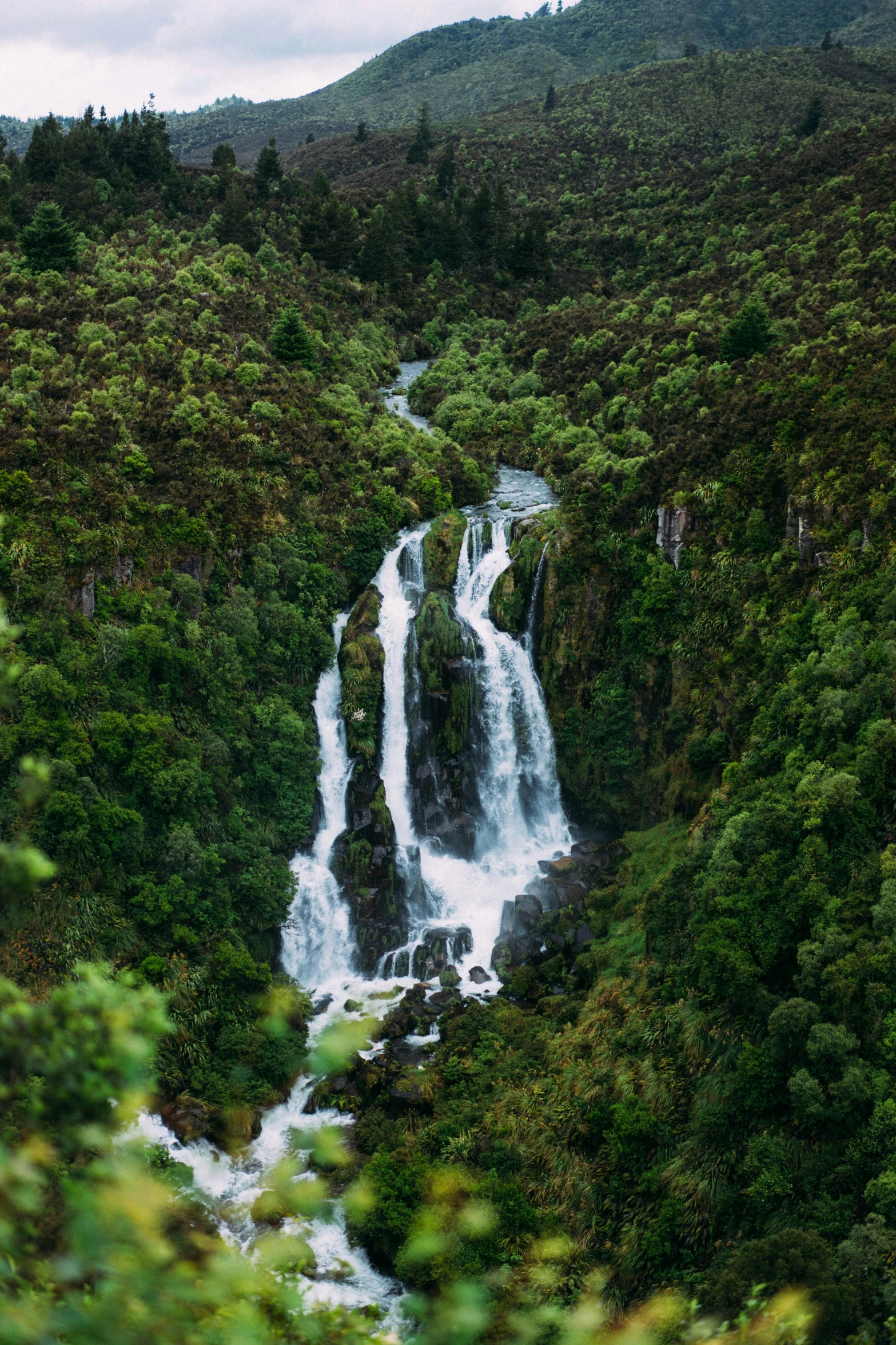 a small waterfall in a green tropical forest