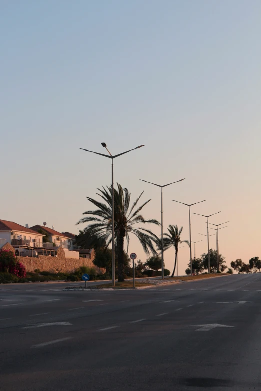 empty road with a row of palm trees on either side