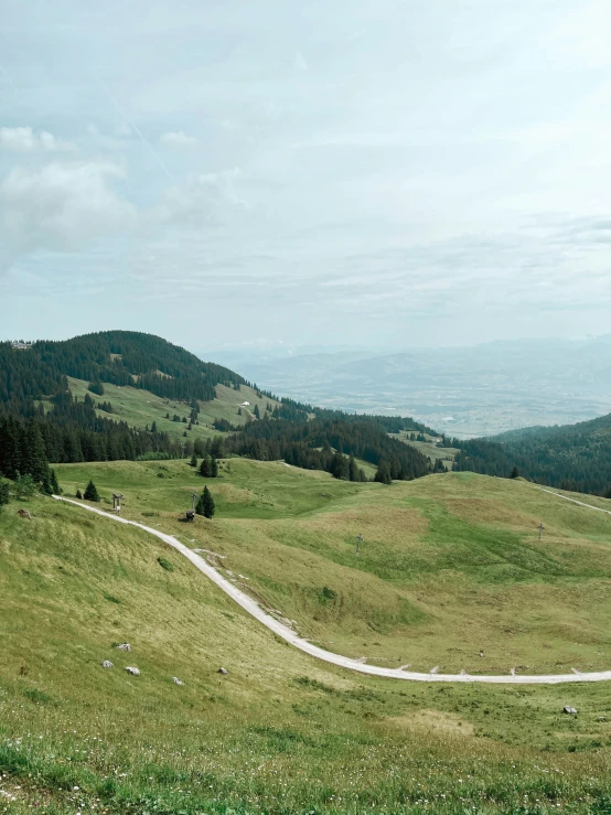 two animals stand on the grassy hillside above a valley