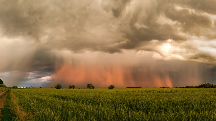 an extreme thunder moves through the distance over an open green field