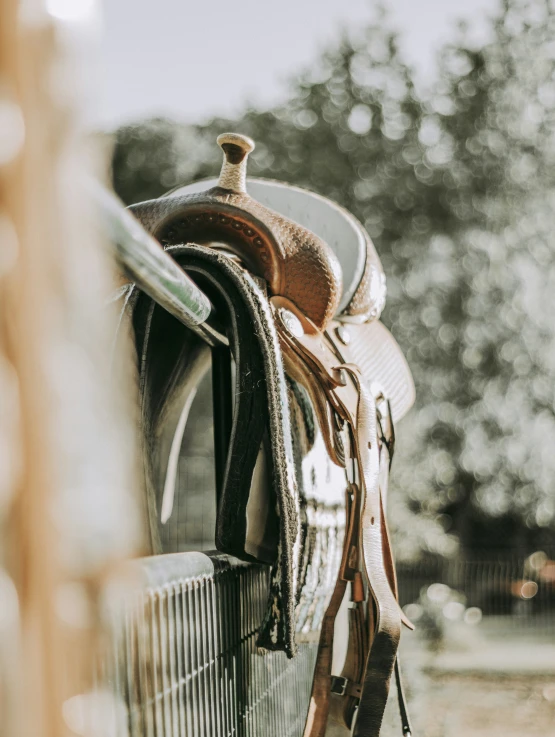 a saddle and some brown leather on a horse