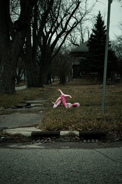 a pink teddy bear laying in the grass on a street corner