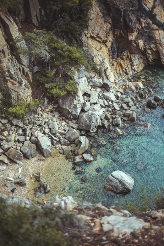 an ocean near a rocky shore next to a tree