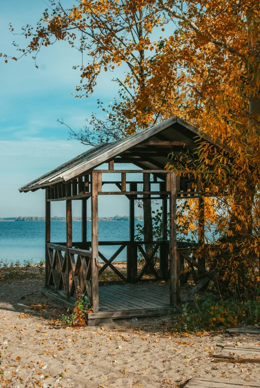 the small shelter on the beach is under an autumn tree