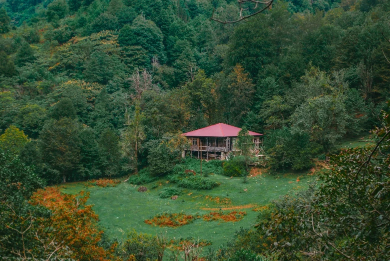 a house surrounded by trees in a forest