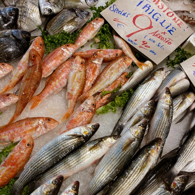 fish and other items displayed at an open air market
