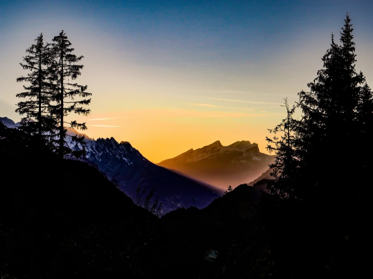 the sun rises behind trees on a hillside